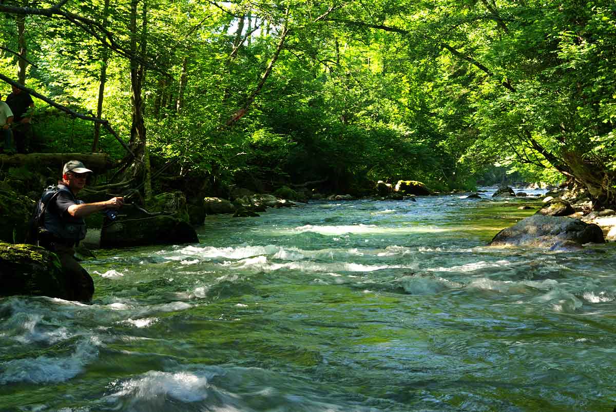 Relaxed Fishing